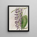 Factory WestIndian Cowitch - Sydenham Edwards — framed artwork on a wall