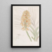 Calanthe à épis jaunes - Sydenham Edwards — framed artwork on a wall