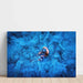 Simbiosis Azulada | Decoración fotográfica