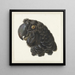 Cabeza de un cacatúa - Aert Schouman — cuadro enmarcado en la pared