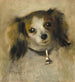 Cabeza de perro - Pierre-Auguste Renoir — vista de la obra