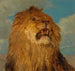 Cabeza de león levantada - Rosa Bonheur — vista de la obra