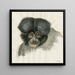 Cabeza de mono - Floris Verster — cuadro enmarcado en la pared
