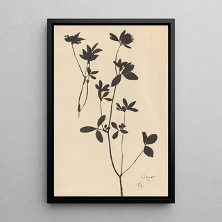 Theo Nieuwenhuis - Klaver.webp