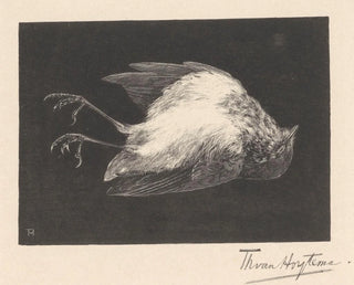 Red-breasted Robin in dood - Theo van Hoytema — artwork view