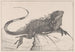 Lagarto sobre una piedra en el agua - Theo van Hoytema — vista de la obra