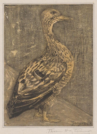 Theo van Hoytema - Staande eend.webp