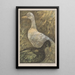 Two standing ducks - Theo van Hoytema — framed artwork on a wall