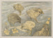 Five Chicks - Theo van Hoytema — artwork view