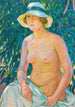 Nu en Panamá - Theo van Rysselberghe — vista de la obra