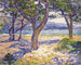 La Mediterránea en Le Lavandou - Theo van Rysselberghe — vista de la obra