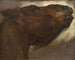 Estudio de un caballo muerto - Théodore Géricault — vista de la obra