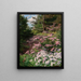 Rhododendron rosa y blanco en un bosque - Thomas Allen Jr — cuadro enmarcado en la pared