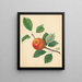 Naranja Pippin - Thomas Andrew Knight — cuadro enmarcado en la pared