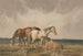 Four ponies on a Welsh moor - Thomas Creswick — artwork view