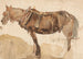 Un caballo enganchado visto de cerca - Thomas Sidney Cooper — vista de la obra