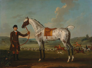 Thomas Spencer - Scipio a spotted hunter the property of Colonel Roche.webp