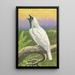 Cotinga a garganta desnuda - Thomas Waterman Wood — cuadro enmarcado en la pared