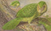 New Zealand Parrot-Owl Painting - Thomas Waterman Wood — artwork view