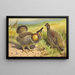 Grouse de las praderas - Thomas Waterman Wood — cuadro enmarcado en la pared