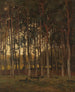 Vista en los bosques - Théophile de Bock — vista de la obra