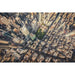 Impresión fotográfica de Nueva York - La Gran Manzana como nunca la has visto