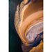 Reproducción fotográfica de naturaleza - Huellas marítimas por Thomas Zilberdoukaten