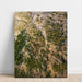 Landscape photo print - Verdant Serpents