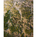 Landscape photo print - Verdant Serpents