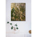 Landscape photo print - Verdant Serpents