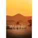Nature Photo Print: The Symphony of the Desert
