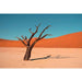 Landscape photography print - The essence of the African desert immortalized