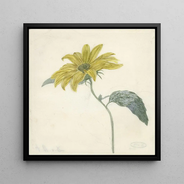 Tournesol - D van Alphen