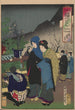 L'Album de Nishikie Pl07 - Toyohara Chikanobu — artwork view