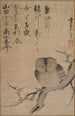 Búho - Tsuda Bensaku — vista de la obra