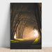 Túnel de luces | Decoración fotográfica de naturaleza