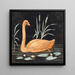 A swan on a black background, decorative sketch - P C Skovgaard — framed artwork on a wall