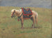 Poneys himalayenses - Vasily Vereshchagin — vista de la obra
