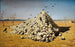 La Apoteosis de la guerra - Vasily Vereshchagin — vista de la obra