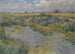Paisaje fluvial - Václav Radimský — vista de la obra