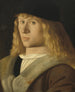 Retrato de un joven - Veneciano del siglo XVI — vista de la obra