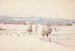 Winter Landscape - Venny Soldan-Brofeldt — artwork view