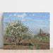 Reproducción del cuadro Verger en fleurs, Louveciennes - Camille Pissarro