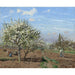 Reproducción del cuadro Verger en fleurs, Louveciennes - Camille Pissarro