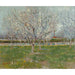 Reproducción del cuadro Verger en flores (Pruniers) - Vincent van Gogh
