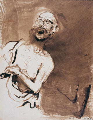 Victor Hugo - Le Fou.webp
