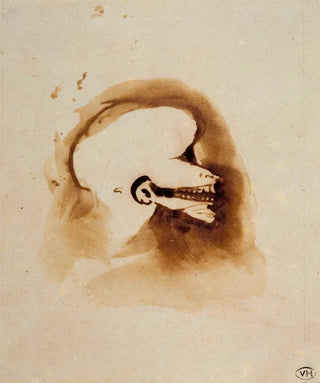 Victor Hugo - Sans titre.webp