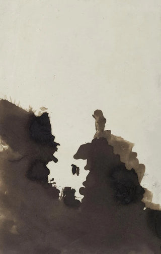 Victor Hugo - Tache ou Tte de caractre.webp