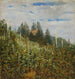 Viñedo de verano en Pillnitz - Carl Gustav Carus — vista de la obra