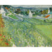 Reproducción del cuadro Viñedos de Auvers - Vincent van Gogh